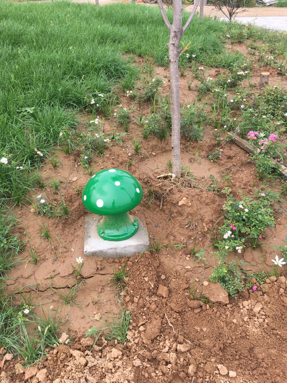 百乐博(中国游)官方网站