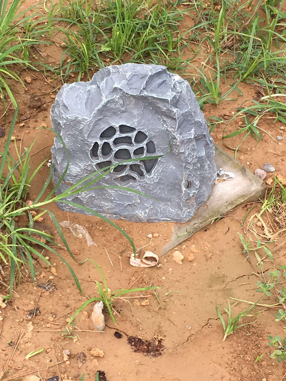 百乐博(中国游)官方网站